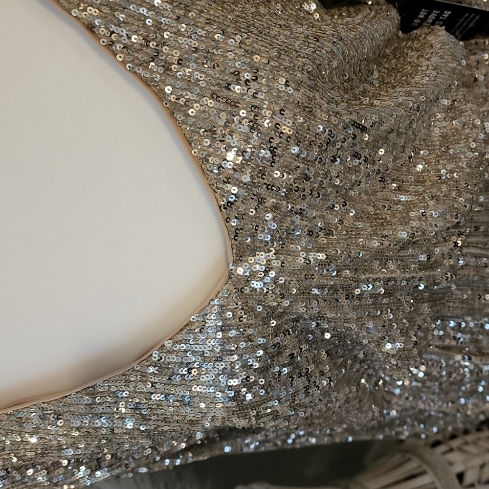 Express Silver and Nude Sequin Dress NWT - Picture 2 of 6